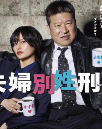 夫妇别姓刑警