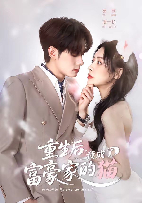 重生后，我成了富豪家的猫