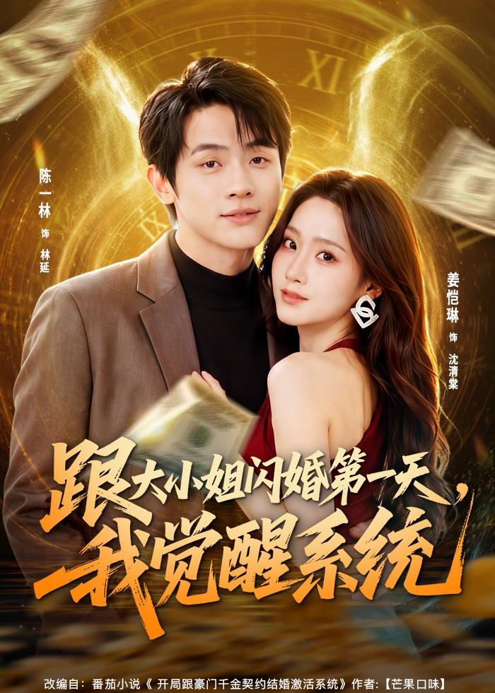 跟大小姐闪婚第一天，我觉醒系统
